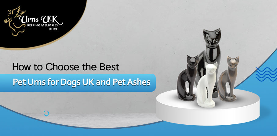 How to Choose the Best Pet Urns for Dogs UK and Pet Ashes