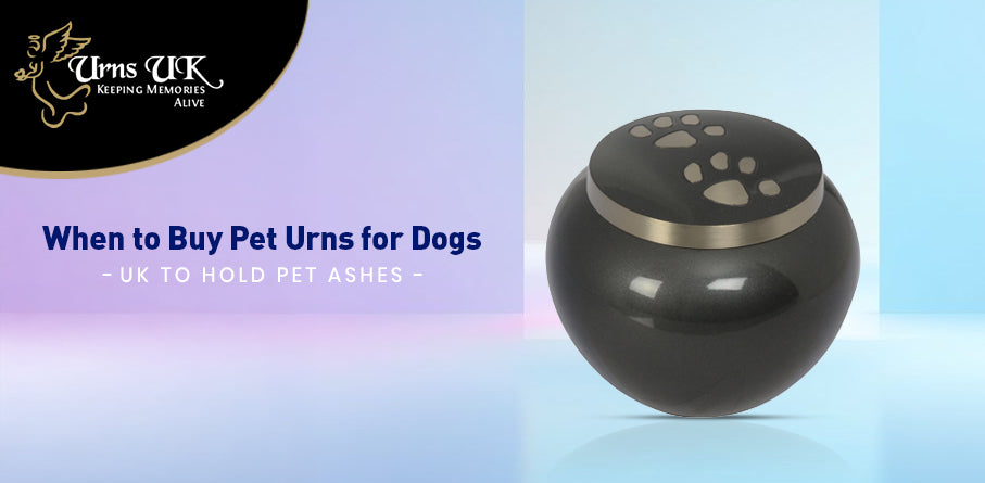 When to Buy Pet Urns for Dogs UK to Hold Pet Ashes