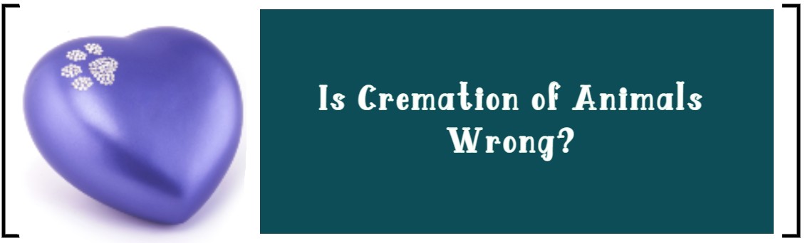 IS CREMATION OF ANIMALS WRONG?