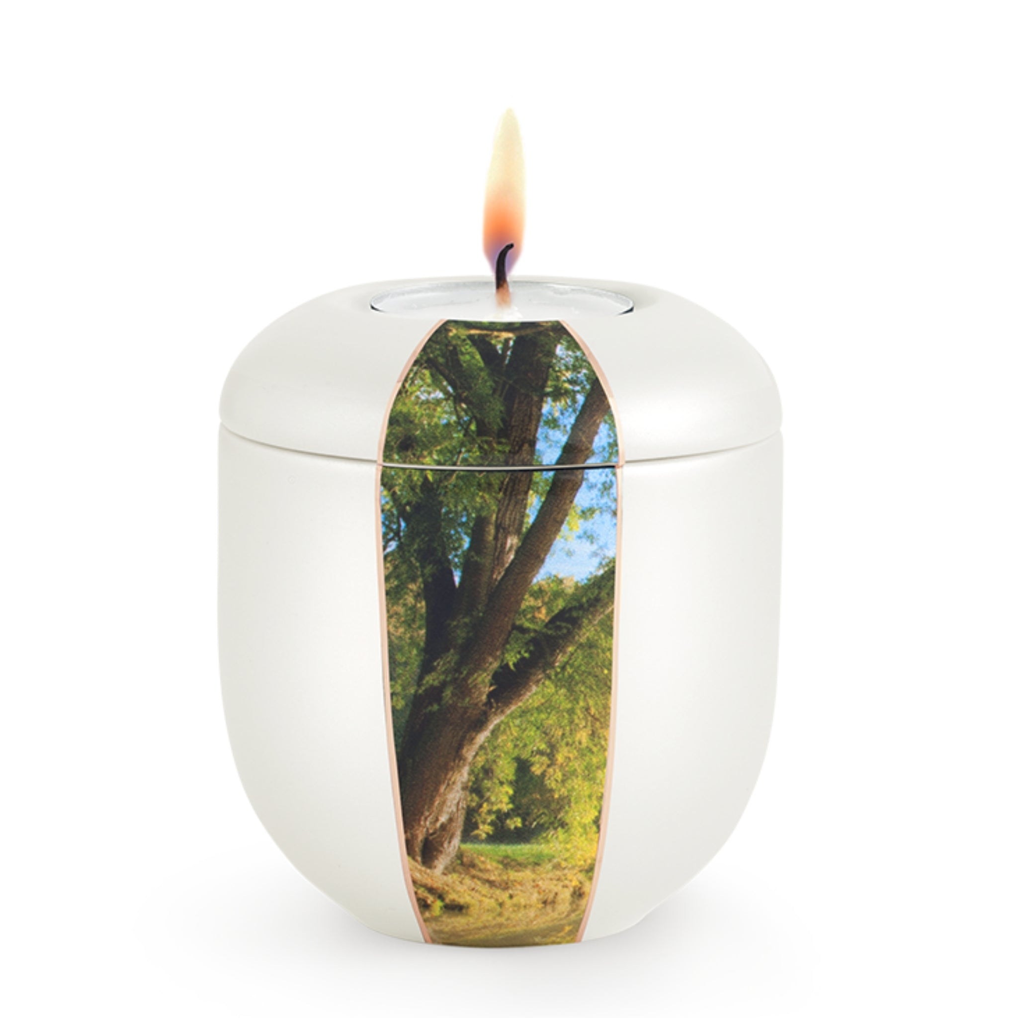 Mansfield Cremation Ashes Urn Tree Keepsake VOL