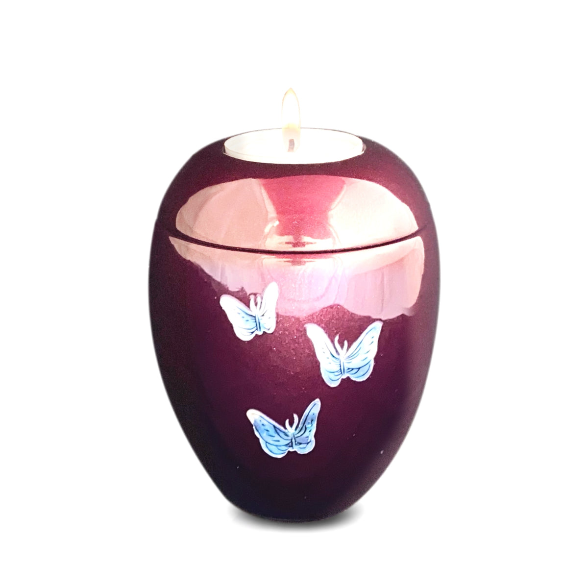 Eskdale Butterflies Cremation Ashes Urn Range ALT