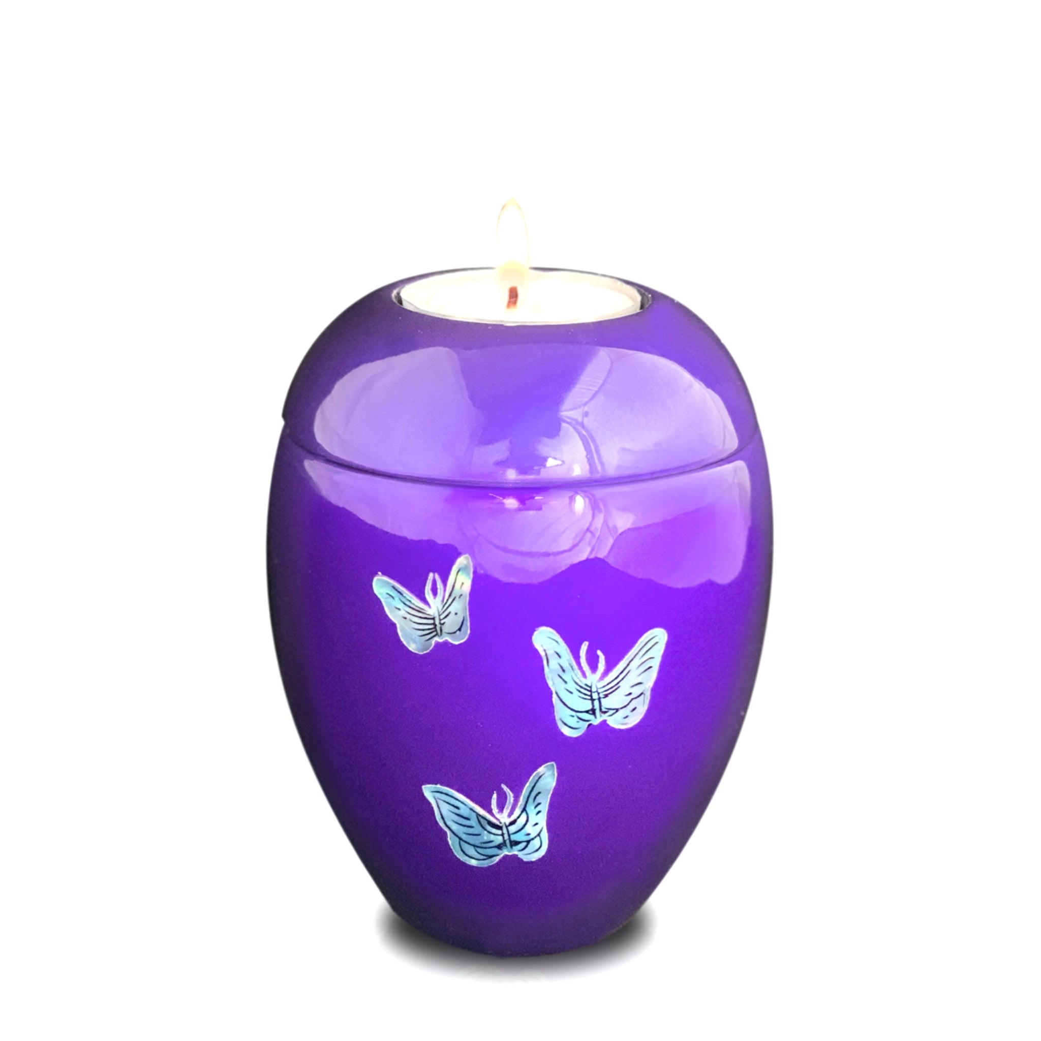 Eskdale Butterflies Cremation Ashes Urn Range ALT