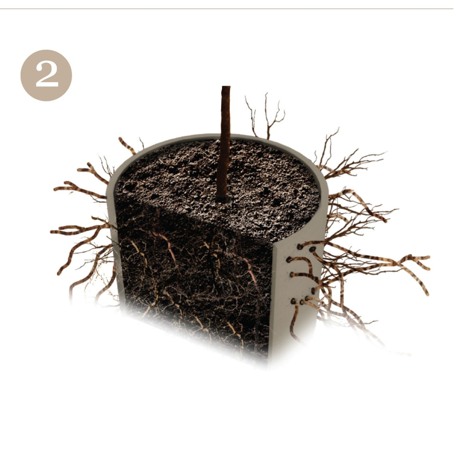 The Living Urn System® (Use with your own Tree, Plant, or Flowers) LIV